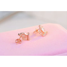 Load image into Gallery viewer, Water Drop Cubic Zircon Crytal Stud Earring